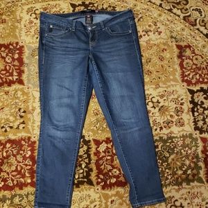 Torrid skinny jeans